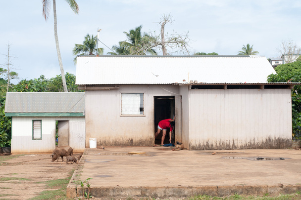 hovel, shanty, shack in Tonga, Polynesia - Photo, Image