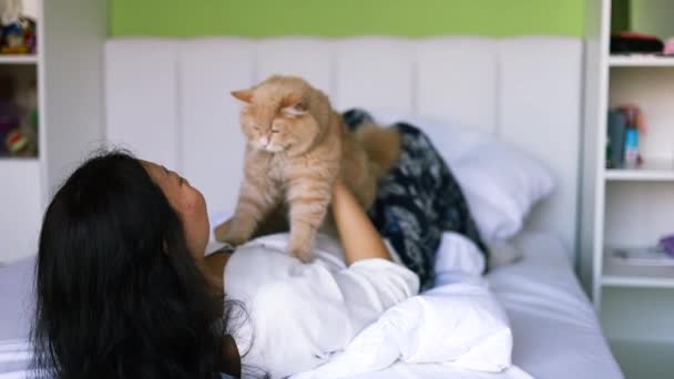 Asiática mujer sosteniendo y jugar con poco gato con felicidad en casa. Atractiva hembra acostada en la cama, pasar el tiempo libre abrazar y masajear a su animal doméstico con suavidad en el dormitorio en casa. - Metraje, vídeo