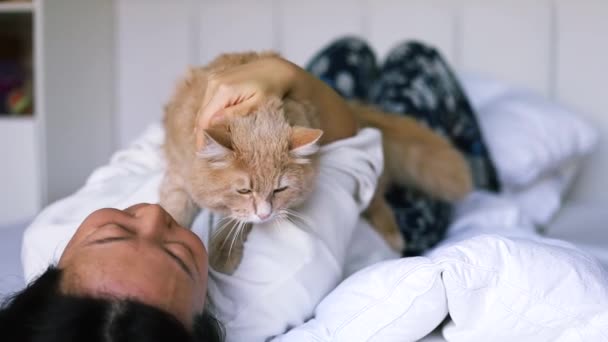 Asiática mujer sosteniendo y jugar con poco gato con felicidad en casa. Atractiva hembra acostada en la cama, pasar el tiempo libre abrazar y masajear a su animal doméstico con suavidad en el dormitorio en casa. - Metraje, vídeo