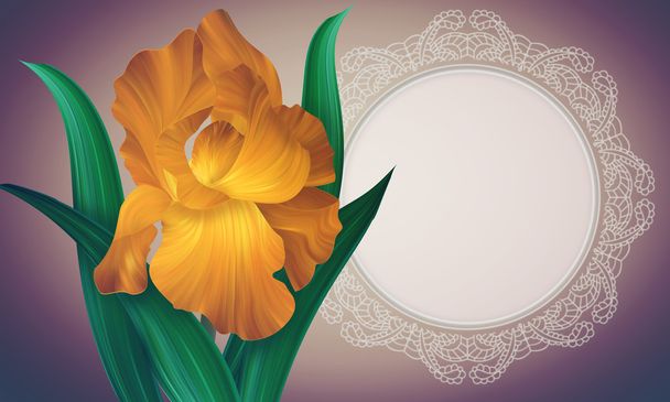 Irisblume mit Spitzen-Rahmen - Foto, Bild