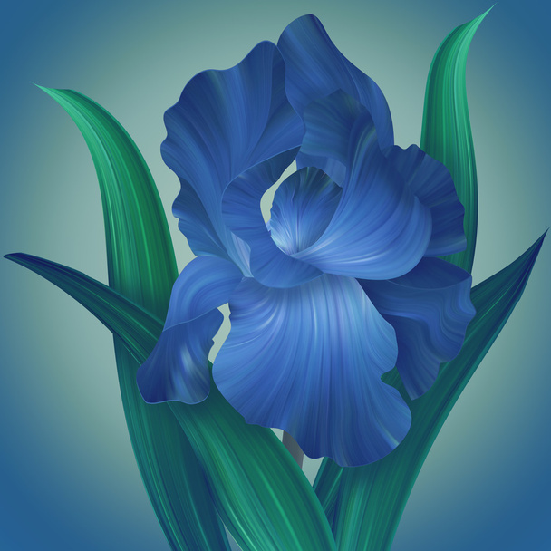 Fantasy Iris Flower - Foto, Bild