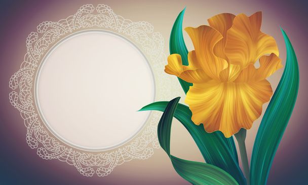Iris Flower with lacy frame - Foto, Bild