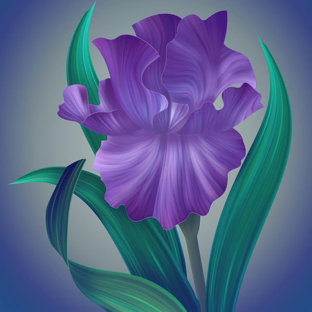 Fantasy Iris Flower - Фото, зображення