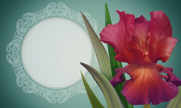 Iris Flower with lacy frame - Fotografie, Obrázek