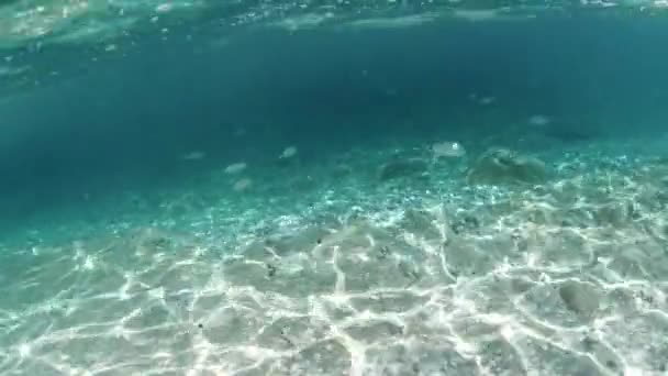 Klidný podmořský výhled se slunečním světlem filtrovaným průzračnou modrou vodou na oblázkové mořské dno ostrova Elba v Itálii. Toskánské souostroví mořské rezervace a Fetovaia pláž. - Záběry, video