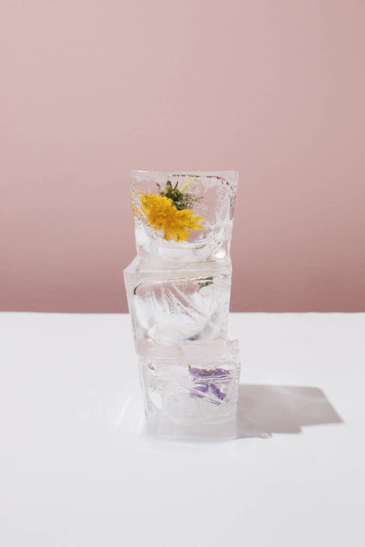 Três cubos de gelo layout em altura com flores de primavera no fundo de contraste. - Foto, Imagem