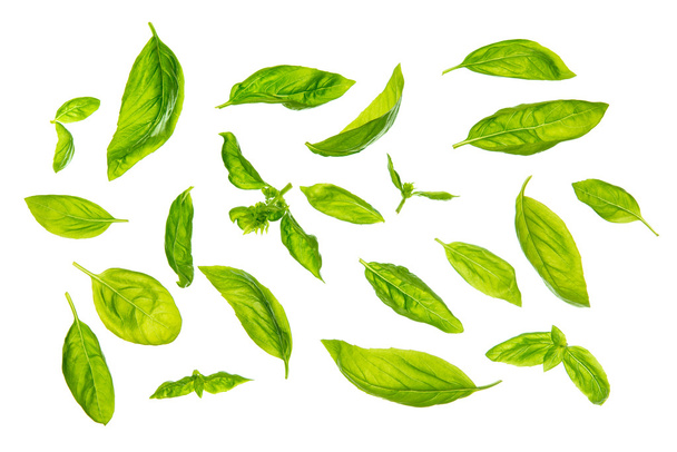 Scattered sweet basil leaves - Photo, Image