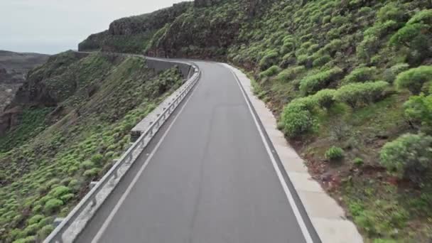 4k beeldmateriaal drone uitzicht van een vrouw wandelen in het midden van een asfaltweg in het bos afgerond met bergen - Video