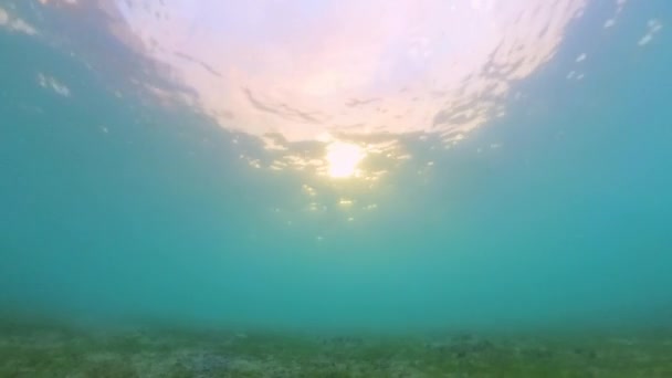 4k video časného rána slunečního svitu pod vodou na Blue Heron Bridge v Riviera Beach, Florida, USA - Záběry, video