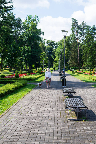 Жінка і собака - Кавальєр король Чарльз Спанієль - гуляє в громадському парку з пишними квітами, рослинами, травою і деревами - Фото, зображення