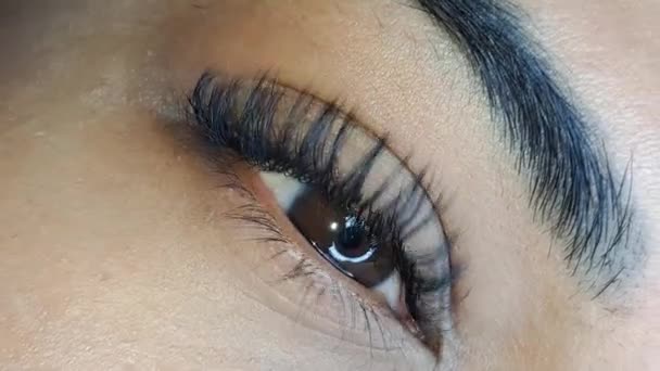 Close up of eye with eyelash extensions ,beauty salon treatment ,2d volume, 3d volume, classical lashes,Russian volume,megavolume, new set. - Footage, Video