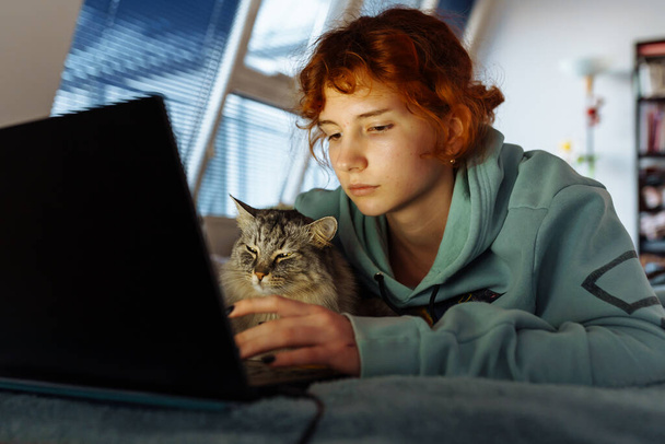 nastolatka, w bluzie, z rudymi włosami, spędza czas z kotem, leżąc na łóżku, używając laptopa, wieczorem - Zdjęcie, obraz