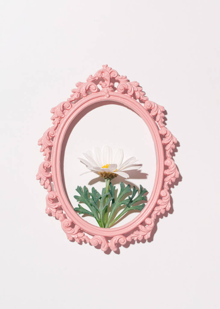 Bloem groeien uit ovale fotolijst, roze witte lente natuurlijke samenstelling. - Foto, afbeelding