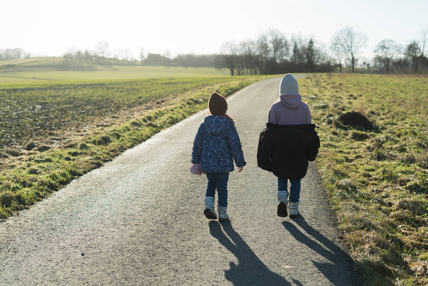 Vista trasera del hermano y la hermana caminando por la carretera en el campo - Foto, Imagen