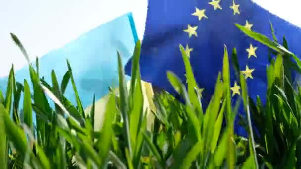 Bandera de la Unión Europea. Bandera de Ucrania. Campo de trigo en primavera.  - Metraje, vídeo
