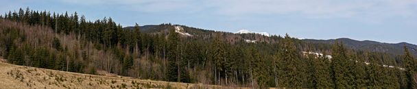 πανοραμική θέα του βουνού και των κωνοφόρων δέντρων που φωτίζονται από τον ήλιο κατά μήκος του τελεφερίκ στο χιονοδρομικό κέντρο - Φωτογραφία, εικόνα