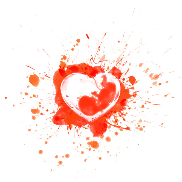 Bloody red splashes and sports heart with human embryo inside  - vector illustration - Vector, imagen
