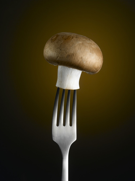 cogumelo - Foto, Imagem