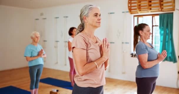 Donna anziana, yoga e meditazione con la pace per il benessere spirituale o l'equilibrio insieme. Anziani o gruppi di insegnanti di yoga con esercizio fisico per il riscaldamento, la consapevolezza o la salute in pilates o fitness. - Filmati, video