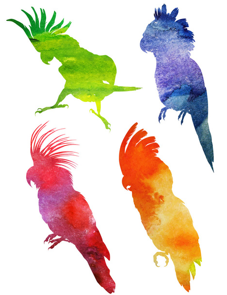 Parrot Silhouette set. watercolor illustration - Vector, imagen