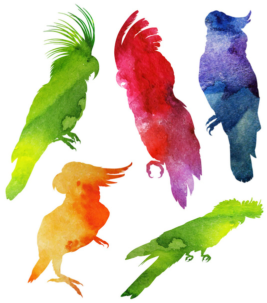 Parrot Silhouette. watercolor illustration - Vector, Image