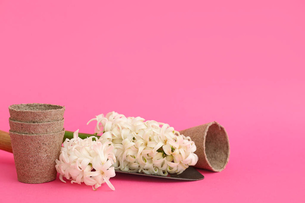 Töpfe, Schaufel und Hyazinthen auf rosa Hintergrund - Foto, Bild