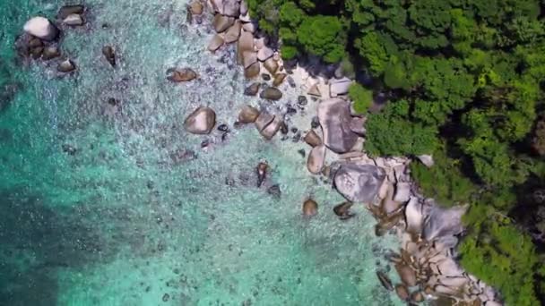 Nieodkryte palmy plażowe gładkie skały. pionowe ptaki widok drona oko. Wysokiej jakości materiał 4k - Materiał filmowy, wideo