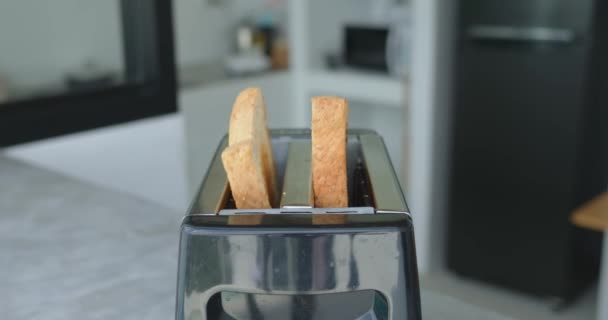 Fette tostate di pane saltano fuori tostapane in metallo in cucina moderna. Finito tostato emerge da tostapane lucido che è croccante e rubicondo. Il tostapane rende facile e veloce il croccante pane per la colazione - Filmati, video