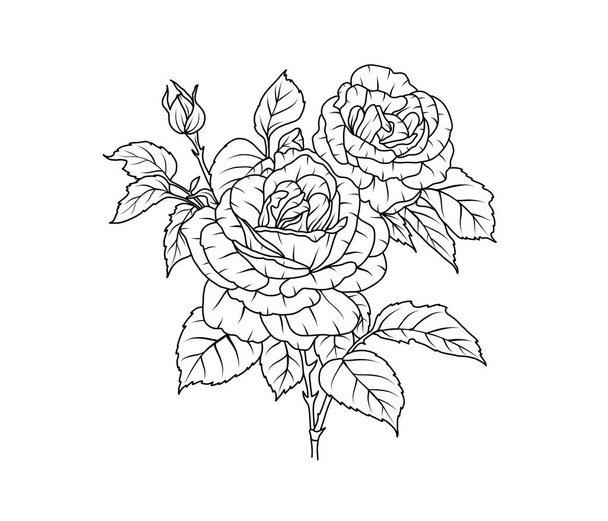 Růžový květ. Květinová černá kresba obrysu kytice. Rose s listovou jednoduchou botanickou rostlinou. Vektorová ilustrace pro design tetování, omalovánky pro děti, svatební pozvánka - Vektor, obrázek