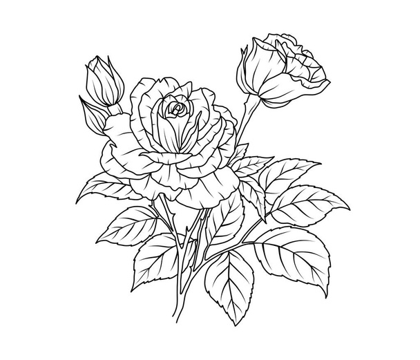 Rose flower line art. Floral black sketch outline bouquet. Rose with leaf simple botanical plant. Vector illustration for tattoo design, coloring pages for kids, wedding invitation - Vector, Image