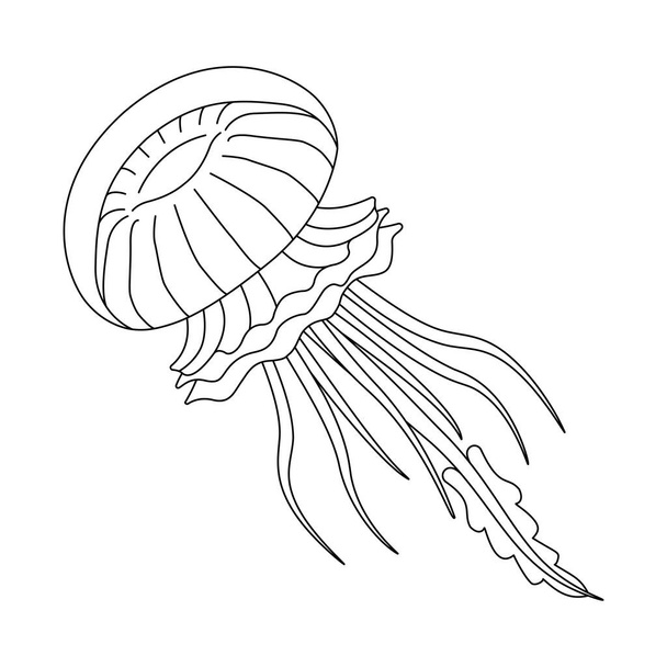 Medúza vonal művészet vektor illusztráció. Fekete-fehér vázlat medúza színező oldal gyerekeknek és felnőtteknek. Oldal a kikapcsolódáshoz és meditációhoz. Vektorillusztráció - Vektor, kép