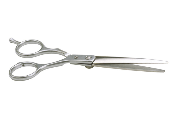 professional scissors - Photo, Image