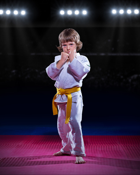 Little boy aikido fighter - Photo, Image