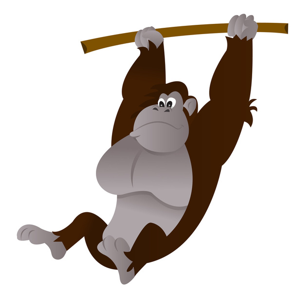 Dibujos animados gorila balanceo rama del árbol
 - Vector, imagen