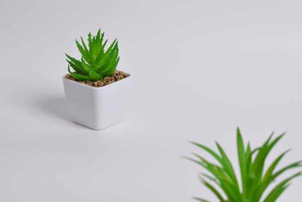 Πλαστικά πράσινα φυτά σε γλάστρες. Ψεύτικο φυτό σε γλάστρα απομονωμένο σε λευκό φόντο. Εσωτερική διακόσμηση. - Φωτογραφία, εικόνα