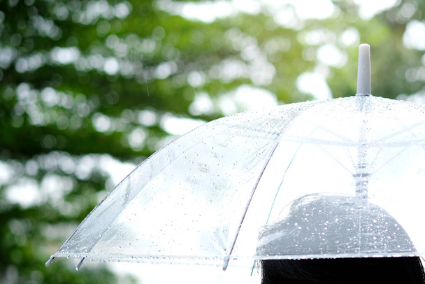 Kobiety chodzą w deszczu. Ręka kobiety trzymającej parasol. Jest jej smutno, Sky cały czas ma mżawkę i zachmurzenie. Deszcz tła, tło parasola. - Zdjęcie, obraz