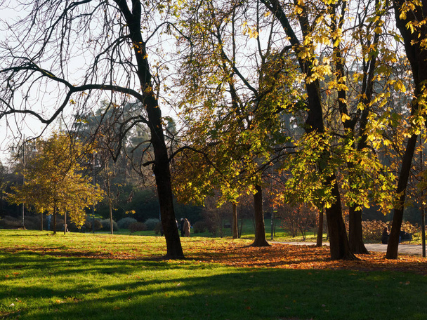 Публічний парк Парко Семпіоне в Мілані, Ломбардія, Італія, в листопаді - Фото, зображення