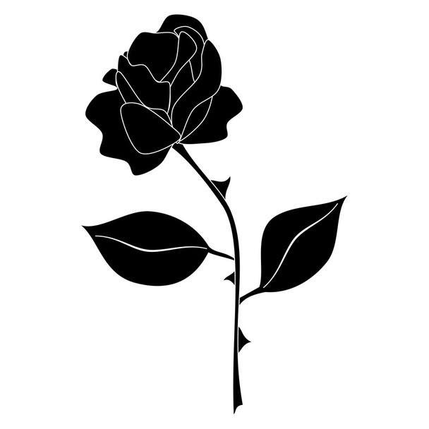 black rose vector on white - Вектор,изображение