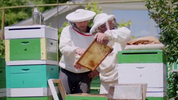 Werken in de natuur twee imkers in beschermende pakken halen honing uit de korf. Met zachte precisie bijenhouders hanteren honingraat vakkundig ophalen zoete honing binnen imkers werken - Video