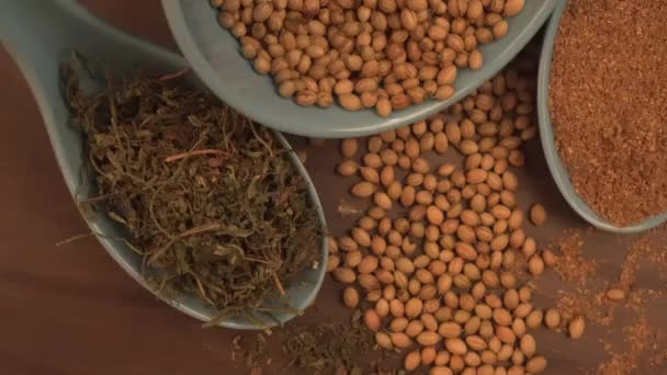Indyjskie przyprawy i zioła na drewnianym tle. Składniki żywności i kuchni - Materiał filmowy, wideo