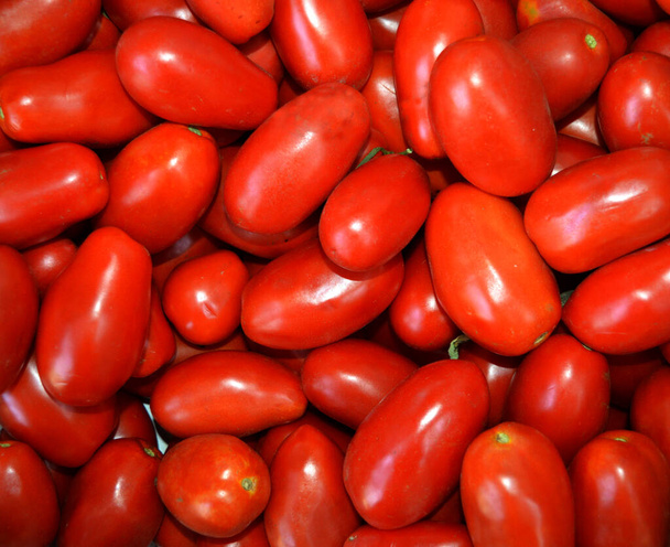 Κόκκινες ντομάτες. Φρέσκες ντομάτες ως φόντο. Στο πάνω μέρος. Ομάδα τοματών. - Φωτογραφία, εικόνα