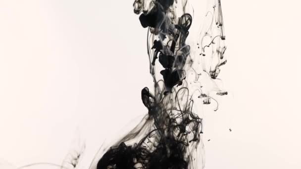 La peinture noire tombe dans l'eau sur fond blanc, vague abstraite et belle d'encre. Au ralenti. Filmé sur caméra cinéma, haute qualité des séquences 4k - Séquence, vidéo