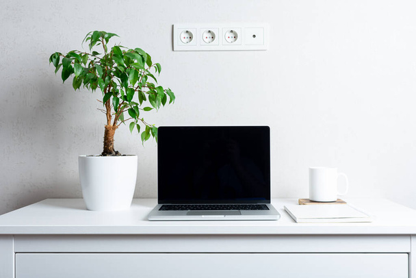 黒いスクリーン,緑の植物,ソケットおよびコップが付いているラップトップ. ホームオフィスのコンセプト. - 写真・画像