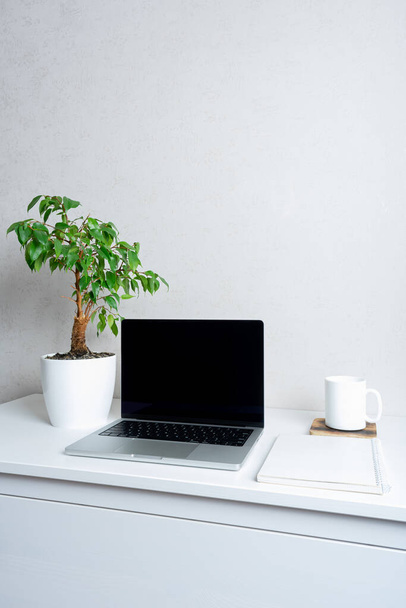 Laptop mit schwarzem Bildschirm, grüne Pflanze und Tasse. das Konzept des Home Office. - Foto, Bild
