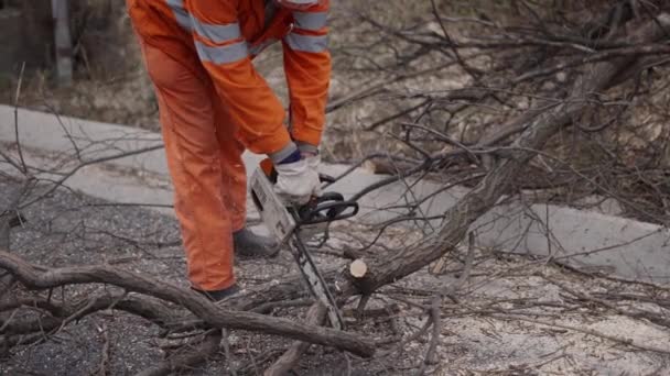 Un trabajador irreconocible corta ramas con una motosierra - 4K Horizontal video - Metraje, vídeo