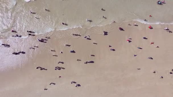 Вид на птахів Око людей, які бачили розваги на пляжі  - Кадри, відео