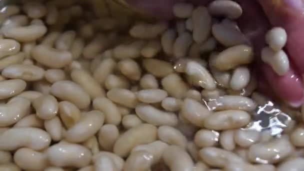 Weiße Bohnen im Topf mit Wasser - Filmmaterial, Video