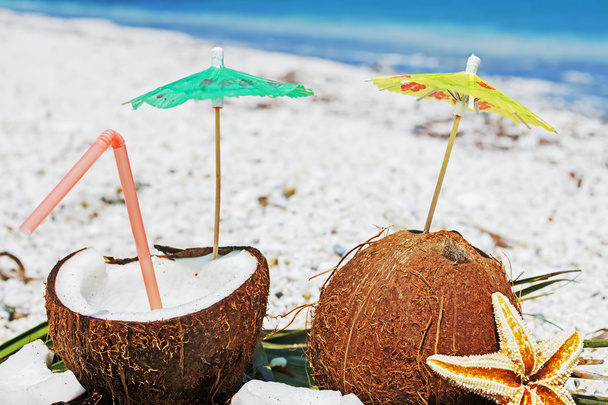 kokosnoten, sea star en palm takken - Foto, afbeelding