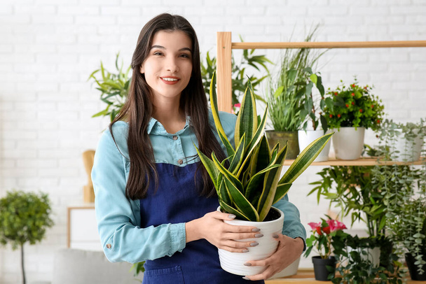 Mooie jonge vrolijke vrouwelijke tuinman met verschillende kamerplanten thuis - Foto, afbeelding