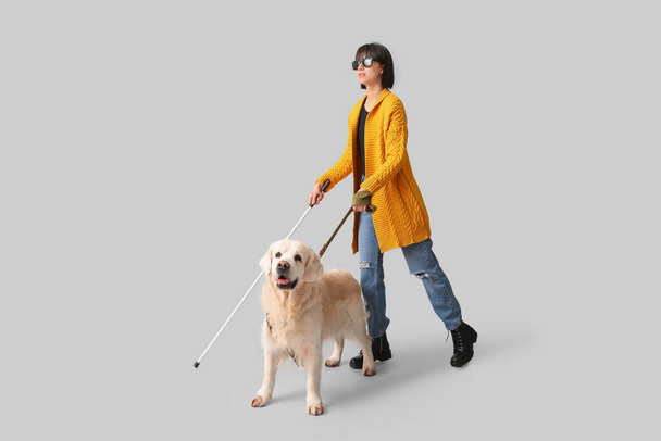 Blind woman with guide dog on grey background - Photo, Image